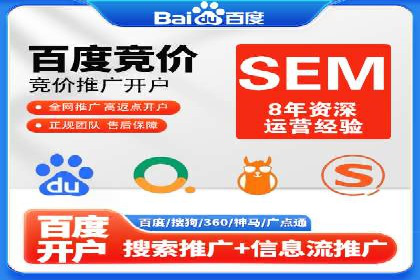 网络推广与竞价策略实战案例